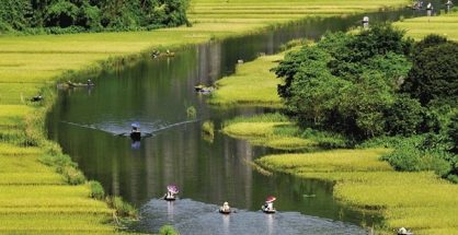 Mùa lúa chín là mùa cao điểm khi du khách trong và ngoài nước đến chiêm ngưỡng cảnh đẹp của Ninh Bình.