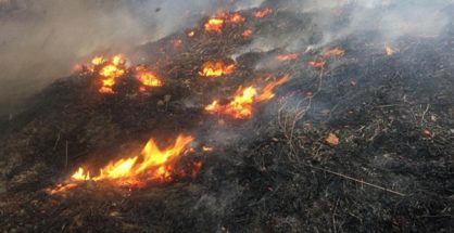 Cảnh báo cháy rừng ở Nghệ An ở cấp cực kỳ nguy hiểm