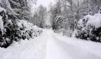 Top 5 điểm du lịch lý tưởng cho mùa đông lạnh giá