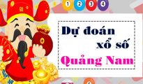 Dự đoán XSQNM 11/1/2022