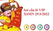 Soi cầu lô VIP KQXSMN 29/3/2022