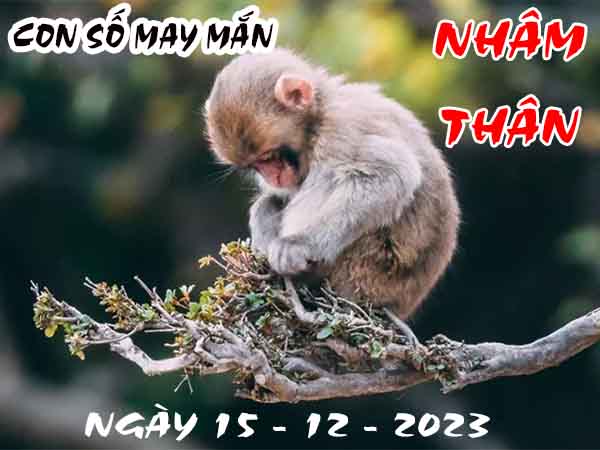 Nhận định con số may mắn tuổi Nhâm Thân ngày 15/12/2023