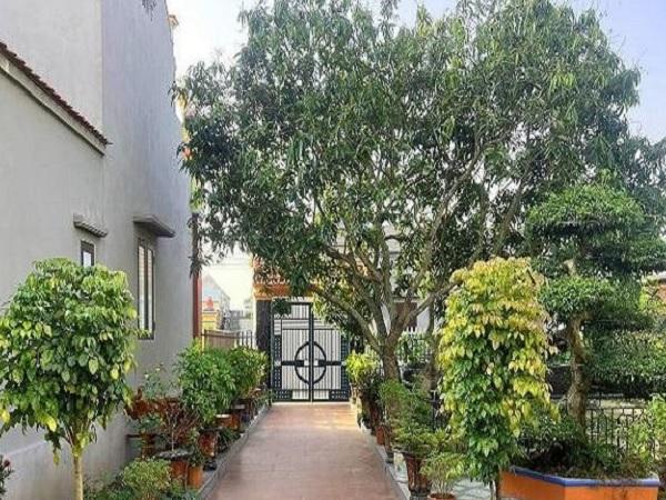 Đặc điểm của nhà hướng Bắc và những thách thức khi trồng cây