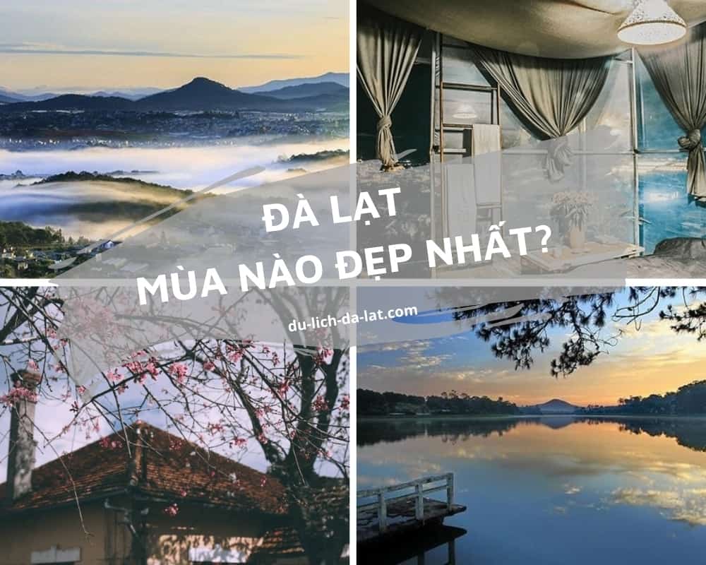 Đi Đà Lạt mùa nào đẹp nhất? Đi Đà Lạt mùa nào đẹp nhất?