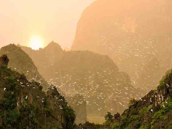 Thời gian thích hợp để du lịch thung Nham tự túc Thời gian thích hợp để du lịch thung Nham tự túc