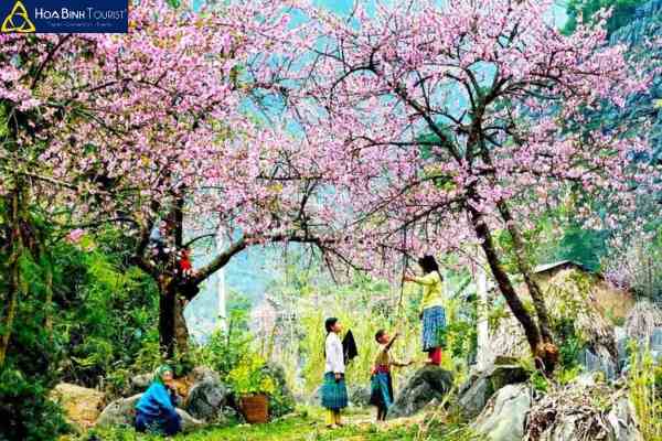 Khám phá thời tiết và đặc điểm của hà giang