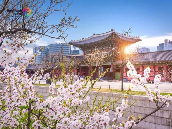 Lập kế hoạch du lịch hàn quốc tự túc Lập kế hoạch du lịch hàn quốc tự túc