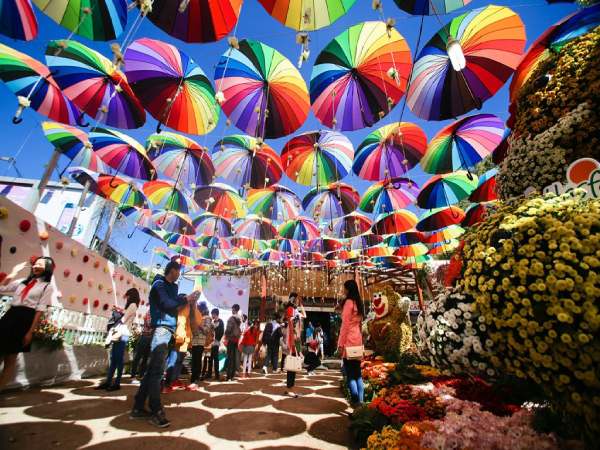 Lý do Festival Hoa Đà Lạt thu hút du khách