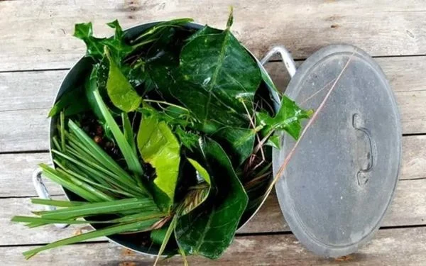 Có thể tắm với lá xông tươi Có thể tắm với lá xông tươi ngày tết