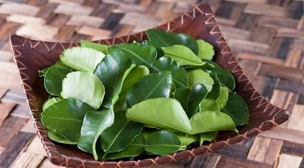 Tắm nước lá bưởi Tắm nước lá bưởi