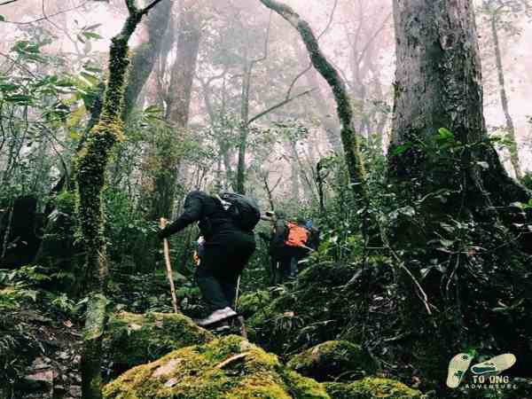 gợi ý phối đồ trekking