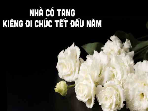 nhà có tang kiêng gì ngày tết