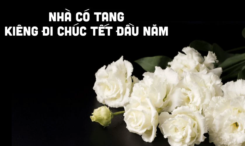 Nhà có tang kiêng gì ngày tết? Nhà có tang kiêng gì ngày tết?