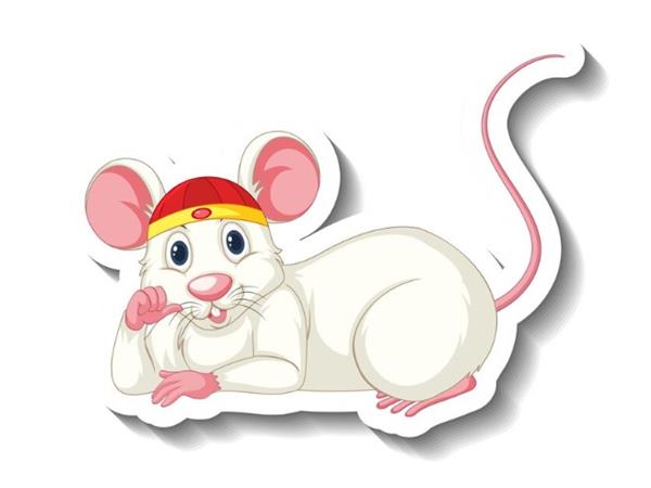 Con số tài lộc tuổi Tý ngày 11/4/2025 đón vận may tài chính