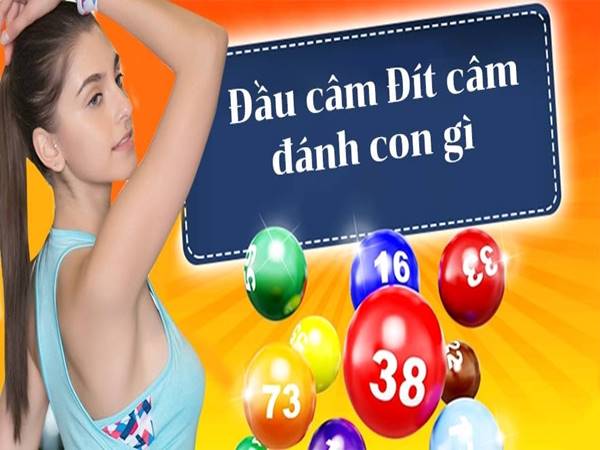 Kinh nghiệm đầu đuôi câm đánh con gì xác suất cao