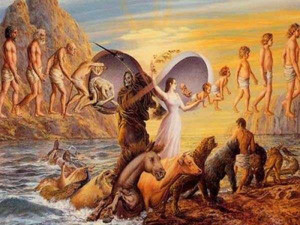 Trả nghiệp là gì?