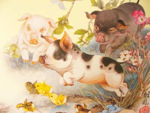 Vận trình tử vi tuổi Hợi 29/11/2025 hên hay xui?