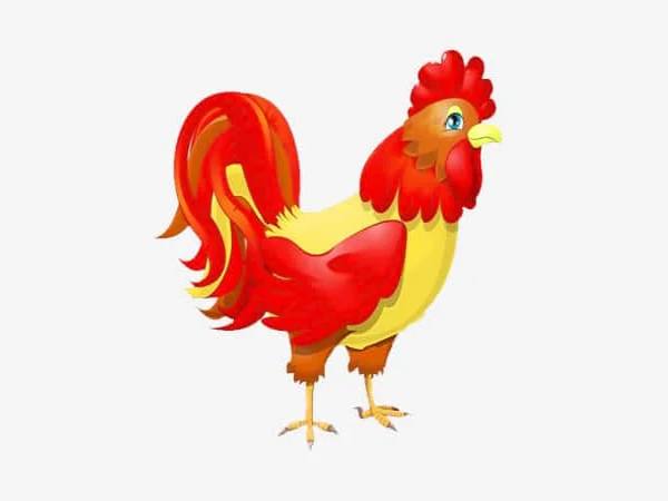 Tử vi tuổi Đinh Dậu hôm nay ngày 5/3/2026: may hay rủi? Con số may mắn tuổi Đinh Dậu ngày 5/3 thứ 5 đón lộc về tay